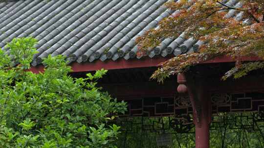 重庆雨季下雨屋檐实拍