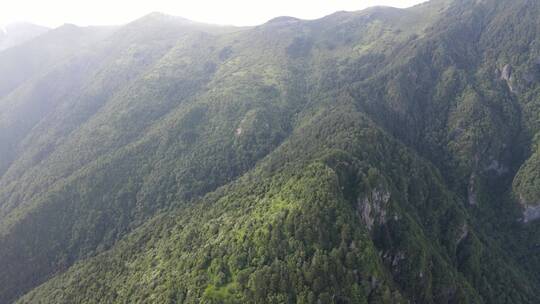 航拍湖北神农架5A景区