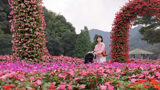 和孩子们游览花海