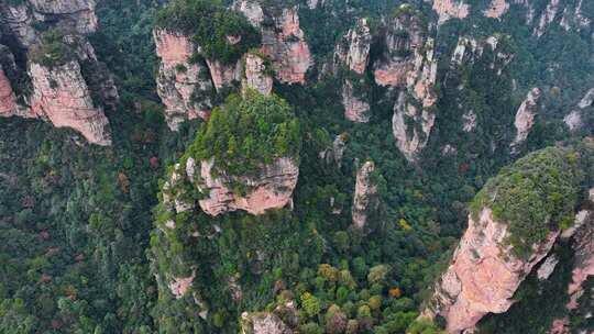 湖南张家界武陵源袁家界地质奇观