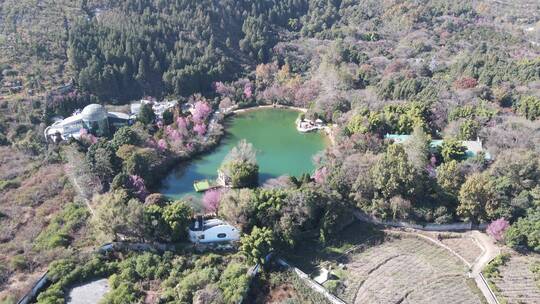 航拍大理蝴蝶泉景区