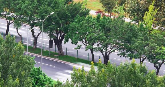 城市道路上行驶的车流