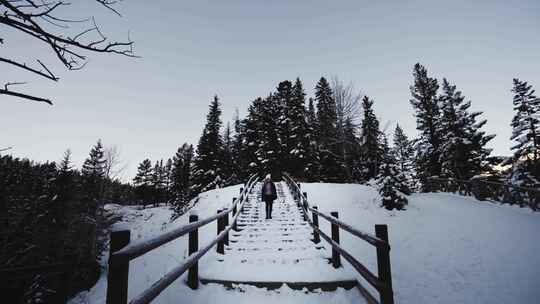 雪，散步，度假，桥