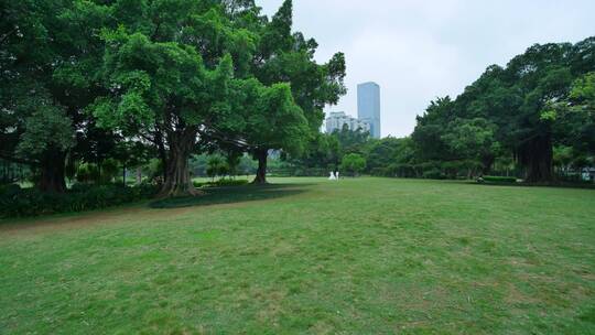 城市广场公园树林绿地草地草坪