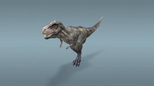 霸王龙 食肉恐龙 恐龙 三维 动画 古代