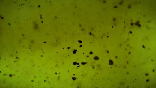 肮脏的绿色液体的视频视频素材模板下载