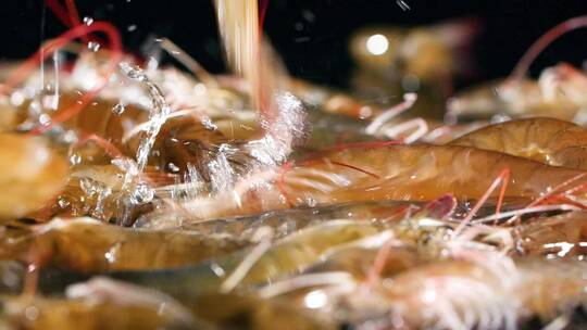 鲜活基围虾跳跃视频素材