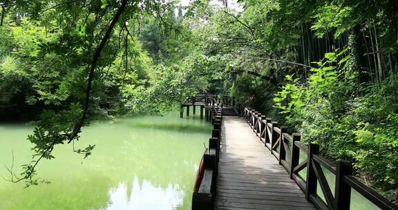 阳光下森林公园滨水木栈道步道空镜