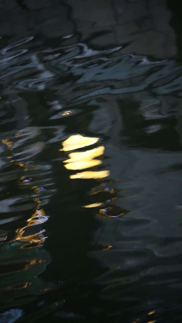 水中映明月波光荡金黄中秋月圆夜