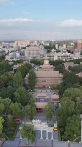 甘肃张掖大佛寺4A景区竖版航拍