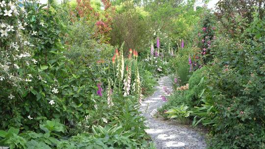 【精品】花园小道花香花巷绿植花海