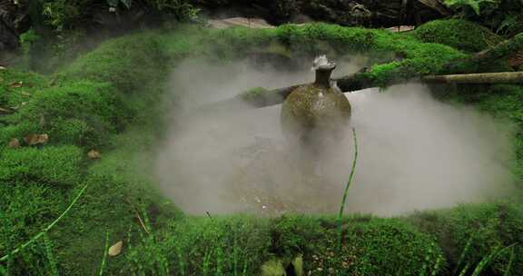 高档小区私家花园水景绿植园艺