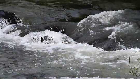 山涧流水水流瀑布视频