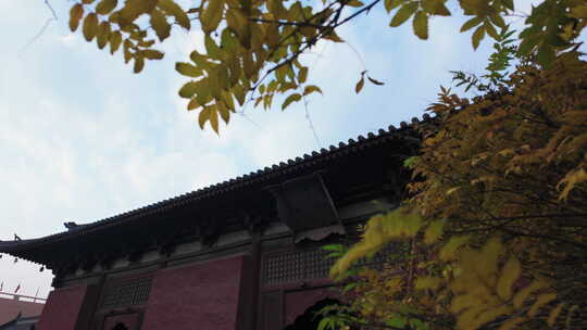 山西大同善化寺历史建筑