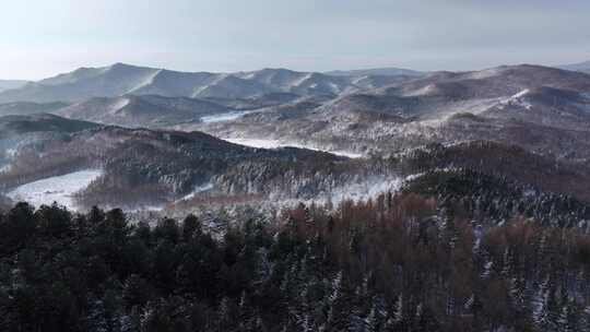 航拍东北下暴雪林海雪原威虎山