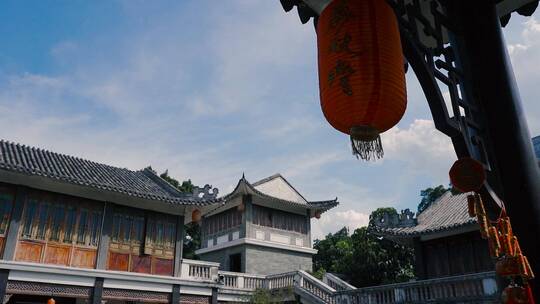 广州荔湾湖公园 园林唯美镜头 鸟语花香