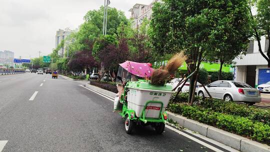 城市道路建筑春天花草树木商铺店面马路汽车