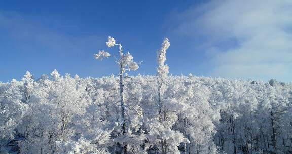 航拍大兴安岭冬季山岭雪林