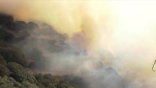 森林山火实拍记录视频素材模板下载