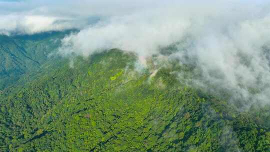 航拍山川原始森林云雾缭绕