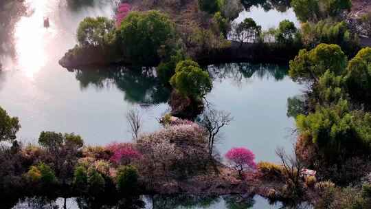 【原创8镜】杭州西溪湿地春天视频素材模板下载