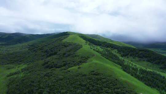 【航拍】丰宁坝上草原风景  草原蓝天白云