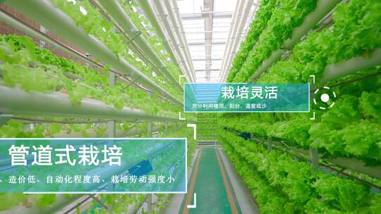 4K科技农业（合集）-智慧农业温室大棚视频素材模板下载