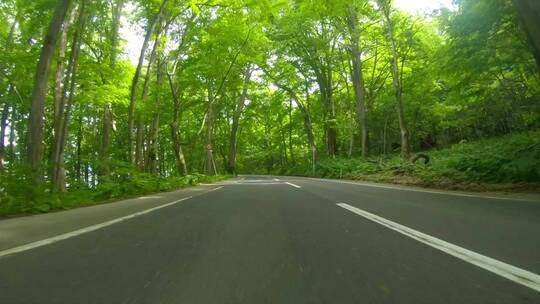 快速行驶在森林里的道路
