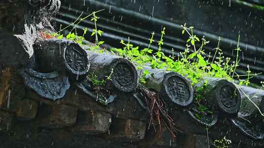 中国风寺庙古建筑下雨雨滴慢镜头