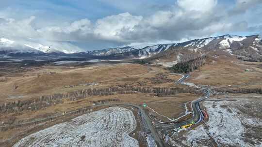 新疆地貌：雪山公路草场针叶林