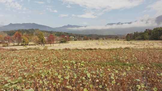 安徽西递宏村皖南秋色航拍