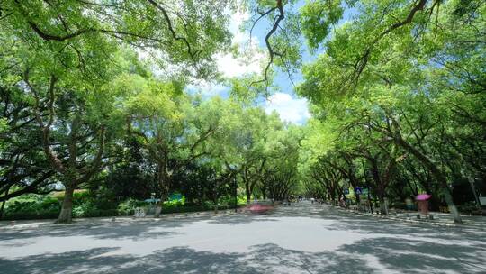 广西桂林城市道路绿树成荫的老城区街道街景