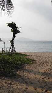 三亚海滨沙滩风光竖屏