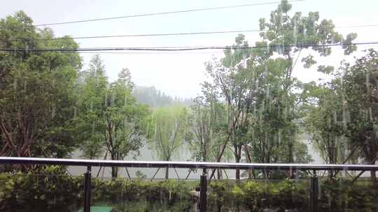 夏天树林下暴雨屋檐雨水视频素材视频素材模板下载