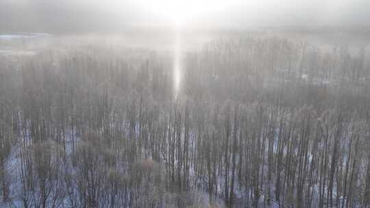 航拍冬季森林太阳雪