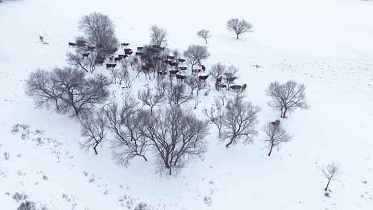 唯美雪原美景 水墨丹青画卷