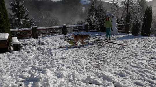 一个女人和她的狗在雪地里玩树枝