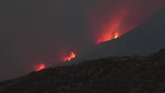 干燥的山坡上的野火在燃烧视频素材模板下载
