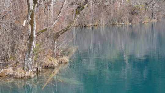 四川阿坝州九寨沟冬日山水