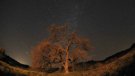 星星轨迹云和橡树谷的夜间延迟