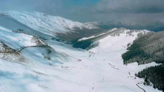 新疆禾木阿尔泰山里的林海雪原