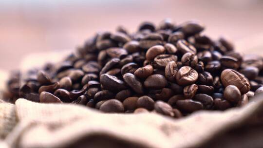 咖啡豆咖啡豆种植丰收种咖啡豆