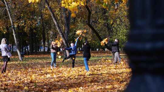 秋天公园银杏树 拍照打卡的人们
