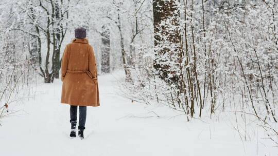 女人独自走在大雪覆盖的小路上