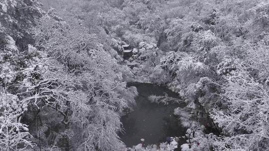 长沙下雪岳麓山岳麓书院橘子洲雪景