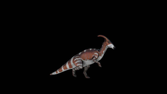 恐龙Parasaurolophus wa