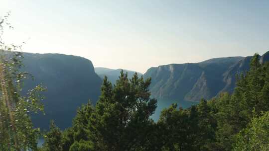 挪威，峡湾，悬崖，树木