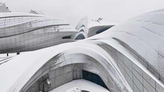 长沙梅溪湖国际文化艺术中心雪景