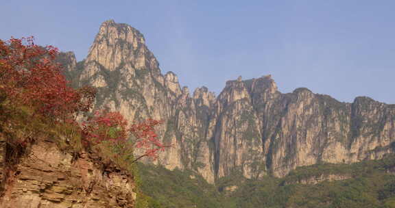 太行山峰峡谷里的红叶【10bit延时】