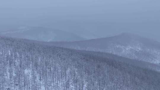 航拍林海雪原风光合集